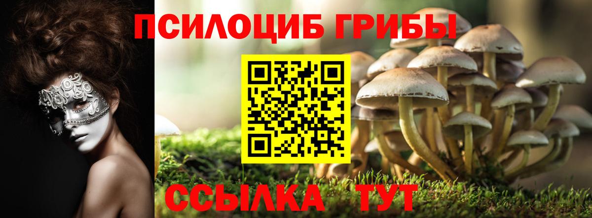 Псилоцибиновые грибы Magic Shrooms Реж