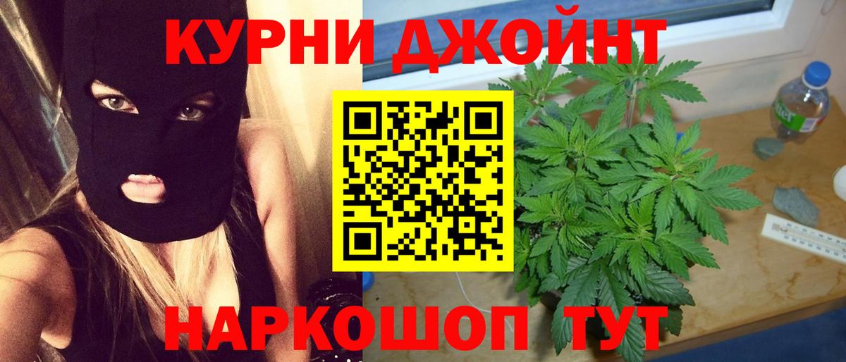 Бошки Шишки марихуана  Вход с VPN  Бошки марихуана Amnesia  МАРИХУАНА Bruce Banner  Реж 
